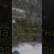 Далеко Улетела Зима Улетела Из Сердца Вьюга