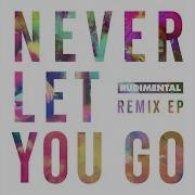 Never Let You Go Feat Foy Vance Spectrasoul Remix Rudimental