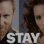 David Guetta Stay Don T Go Away Feat Raye