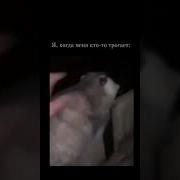 Не Трогай Меня Я Психованный Тик Ток