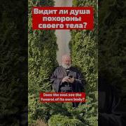 Счастье До Смерти