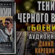 Тени Черного Волка Аудиокнига