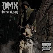 Dmx I Run Shit