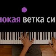 Валерий Залкин Синтезатор