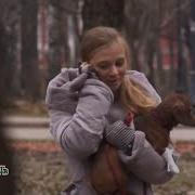 Прокурорская Проверка 1 Сезон
