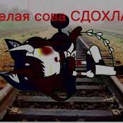 Привет Друзья Веселая Сова Сдохла