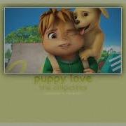 Puppy Love The Chipettes Slowed Reverb Nuts 2 U Album