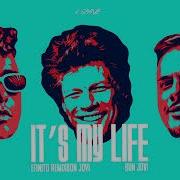 Bon Jovi Its My Life Efinito Rmx