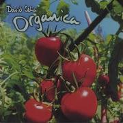 David Celia Fill My Empty Cup
