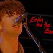 Echo The Bunnymen Puppet