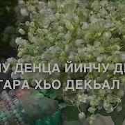 Макка Межиева Дала Декъала Йойла Хьо