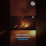 Подготовка К Чс 2025