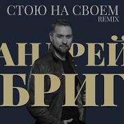 Стою На Своём Remix Андрей Бриг