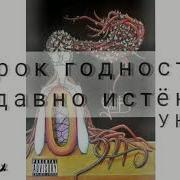 Уннв Срок Годности From Tiktok