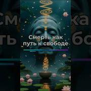 Осознанная Смерть