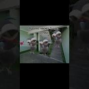 Быстро Спать Меме