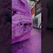 Братья Борцы Уши Оладьи