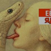 Жизненые Музыкальные Клипы