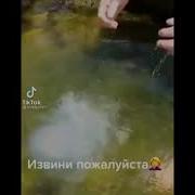 Извини Пожалуйста Мем