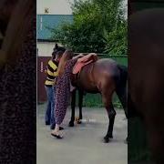 Човандоз Бача