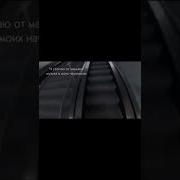 Ландышы Мем Тик Ток