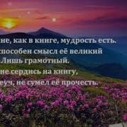 Эльмира Магомедова Горец Мой
