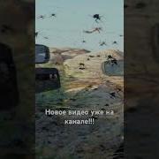Тат За Забором