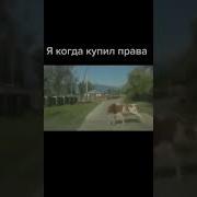 Спасите Простите Мем