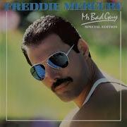 Man Made Paradise Freddie Mercury