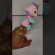 Hey Hey What Tiktok Meme
