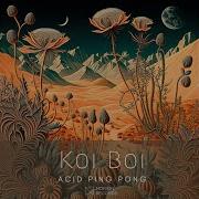 Koi Boi Acid Ping Pong Original Mix