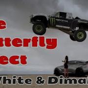 D White Dimad The Butterfly Effect