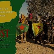 Rojava