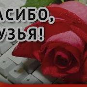 Спасибо Вам Мои Друзья За Поздравления