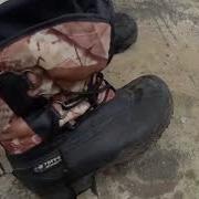 Густера Опыт Номер 17