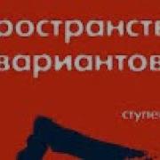 Вадим Зеланд Пространство Вариантов