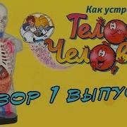 Первая Знанияо Анатомия