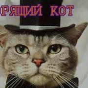 Коты Разговаривают По Человечески