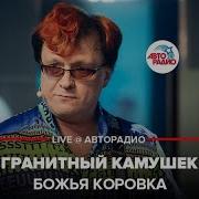 Божья Коровка Гранитный Камушек Live Авторадиобожья Коровка Гранитный