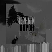 Черный Ворон И Голубка Песня