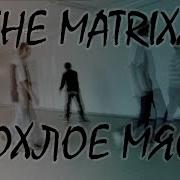 Дохлое Мясо The Matrixx