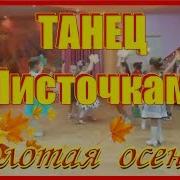 Танец С Листочками Старшая Группа