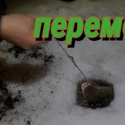 Песня На Налима Перемет