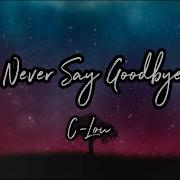 Never Gonna Say Goodbye