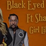 Black Eyed Peas Shakira Girl Like Me Минус