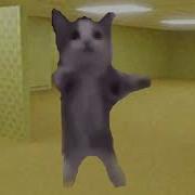 Кот Шнип Шнап