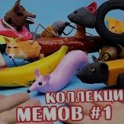 Лепка Шоу Кот Бутерброд