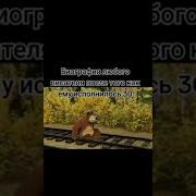 Время Не Лечит Meme