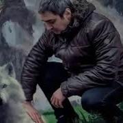 Музика Кашкирла Макони