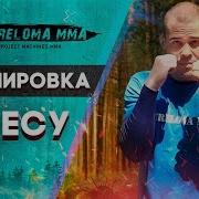 Бой С Тенью Тренировка Дома